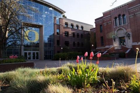 Lillis and Anstett Halls with flowering tulips in foreground