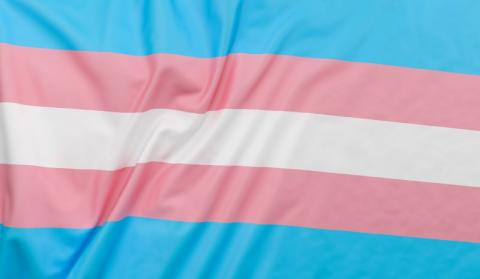 transgender flag