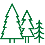 trees icon