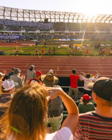 fans at Hayward watching the World Athletic Championships